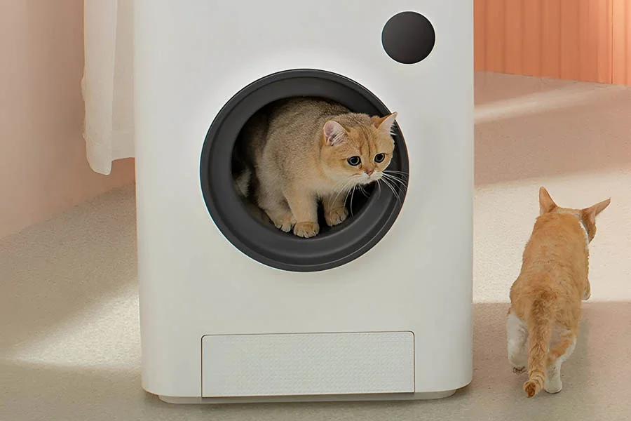 cat litter box that cleans itself