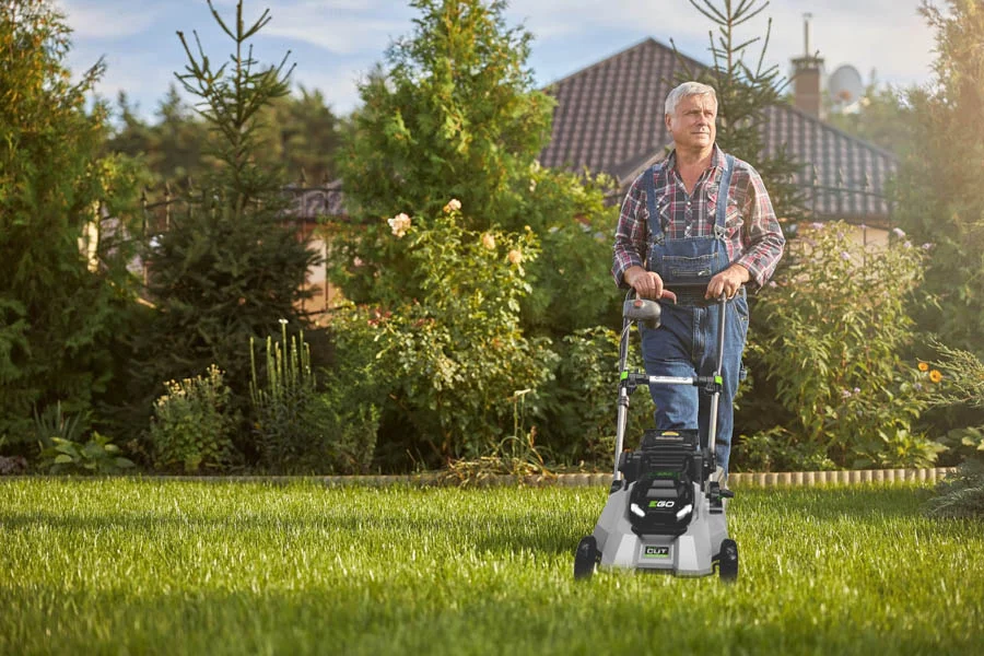 best self-propelled lawn mower