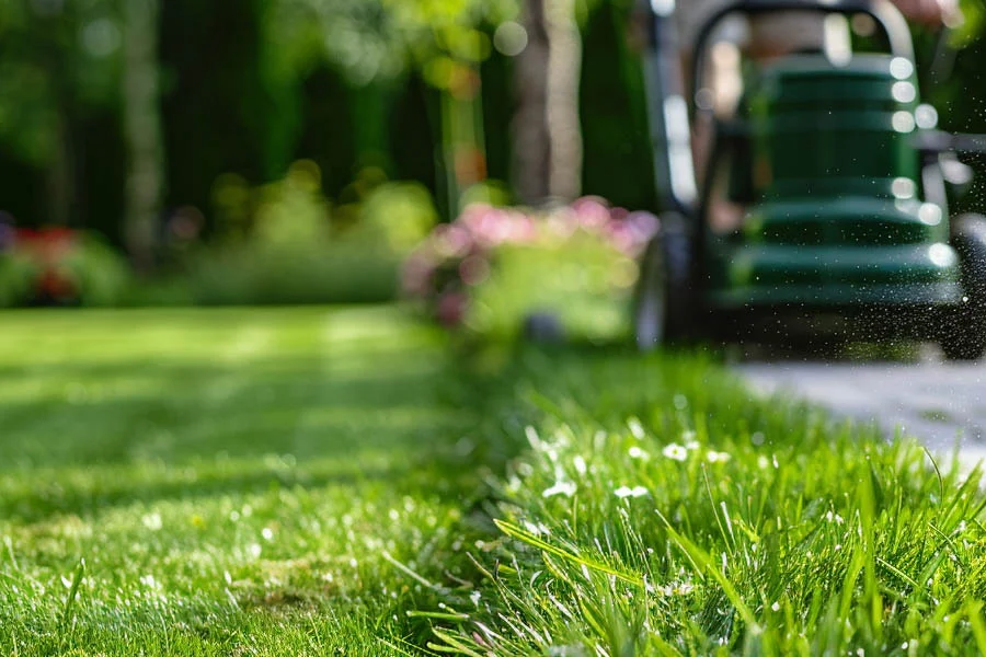 what are the best battery powered lawn mowers
